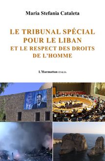 Le tribunal spécial pour le Liban et le respect des droits de l homme