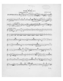 Partition cor 1 (C), Fantaisie, Fantaisie pour violoncello avec orchestre ou piano