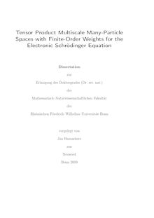Tensor product multiscale many particle spaces with finite order weights for the electronic Schroedinger equation [Elektronische Ressource] / vorgelegt von Jan Hamaekers