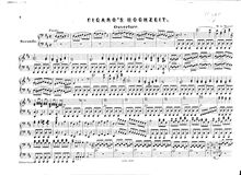 Partition Overture, Le nozze di Figaro, The Marriage of Figaro, D major par Wolfgang Amadeus Mozart