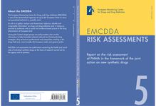 Report on the risk assessment of PMMA in the framework of the joint action on new synthetic drugs