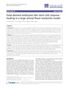 Fetal derived embryonic-like stem cells improve healing in a large animal flexor tendonitis model