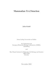 Mammalian Trx2 function [Elektronische Ressource] / Julia Schaft