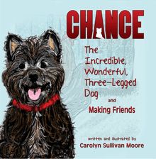 Chance, The Incredible, Wonderful, Three-Legged Dog and Making Friends