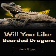 Will You Like Bearded Dragons