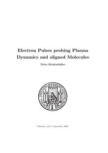 Electron pulses probing plasma dynamics and aligned molecules [Elektronische Ressource] / von Peter Reckenthäler