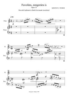 Partition complète (Monochrome), Fuvolára, zongorára is