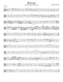 Partition ténor viole de gambe, alto clef, madrigaux - Set 2, Wilbye, John par John Wilbye