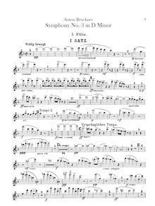 Partition flûte 1, 2, Symphony No.3 en D minor, Dritte Symphonie