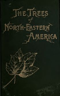 The trees of northeastern America;