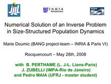 Numerical Solution of an Inverse Problem in Size Structured Population Dynamics