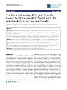 The transcriptional regulator gene E2 of the Human Papillomavirus (HPV) 16 influences the radiosensitivity of cervical keratinocytes