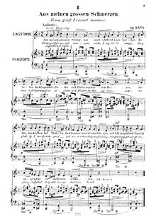 Partition , Aus meinen grossen Schmerzen (From grief, I cannot measure), 12 Gesänge, Op.5