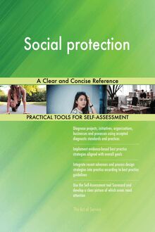 Social protection A Clear and Concise Reference