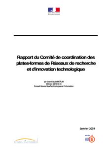 Rapport du Comité de coordination des plates-formes de réseaux de recherche et d innovation technologique