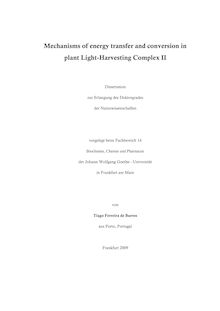 Mechanisms of energy transfer and conversion in plant light harvesting complex II [Elektronische Ressource] / von Tiago Ferreira de Barros