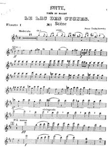 Partition flûte 1, Swan Lake, Лебединое озеро, Tchaikovsky, Pyotr