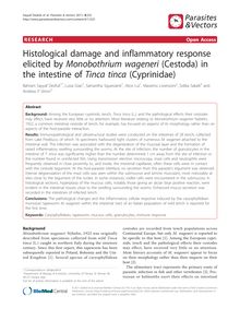 Histological damage and inflammatory response elicited by Monobothrium wageneri(Cestoda) in the intestine of Tinca tinca(Cyprinidae)