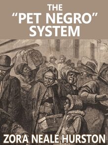 The "Pet Negro" system
