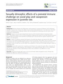 Sexually dimorphic effects of a prenatal immune challenge on social play and vasopressin expression in juvenile rats