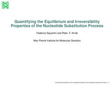 Quantifying the Equilibrium and Irreversibility Properties of the Nucleotide Substitution Process