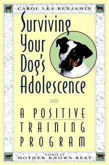 Surviving Your Dog s Adolescence