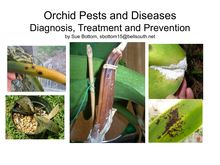 Orchid Pests and Diseases - Diagnosis, Treatment and Prevention