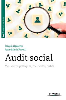Audit social