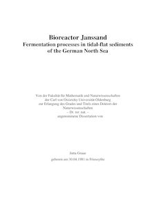 Bioreactor Janssand [Elektronische Ressource] : fermentation processes in tidal-flat sediments of the German North Sea / Jutta Graue. Betreuer: Heribert Cypionka