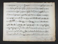 Partition violoncelles / Basses, viole de gambe Concerto, D minor