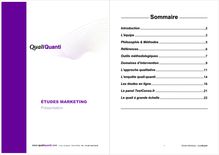 Les études marketing : présentation de Qualiquanti - Sommaire