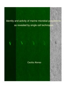 Identity and activity of marine microbial populations as revealed by single cell techniques [Elektronische Ressource] / vorgelegt von Cecilia Alonso