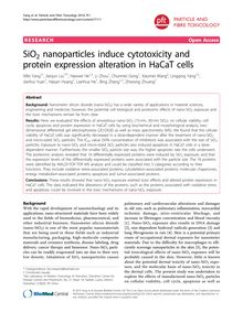 SiO2nanoparticles induce cytotoxicity and protein expression alteration in HaCaT cells