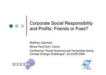 Corporate Social Responsibility and Profits: Friends or Foes