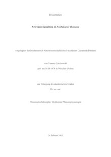 Nitrogen signalling in Arabidopsis thaliana [Elektronische Ressource] / von Tomasz Czechowski