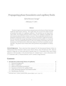 Propagating phase boundaries and capillary fluids