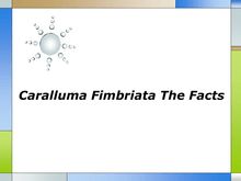 Caralluma Fimbriata The Facts