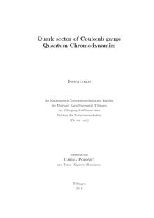 Quark sector of Coulomb gauge Quantum Chromodynamics [Elektronische Ressource] / vorgelegt von Carina Popovici