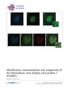Identification, characterization and antigenicity of the Plasmodium vivaxrhoptry neck protein 1 (PvRON1)