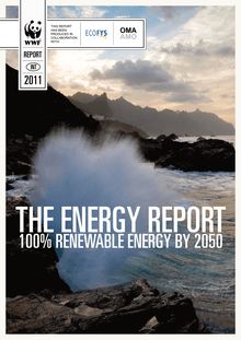 The energy report. 100% renewable energy by 2050.