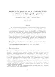 Asymptotic profiles for a travelling front solution of a biological equation