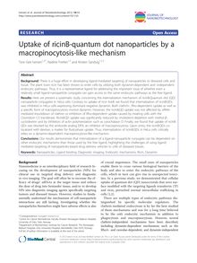 Uptake of ricinB-quantum dot nanoparticles by a macropinocytosis-like mechanism