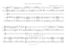 Partition , Jesus, unser Trost und Leben (after BWV 475)Ostern/Easter, chansons et airs