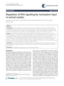 Regulation of Wnt signaling by nociceptive input in animal models
