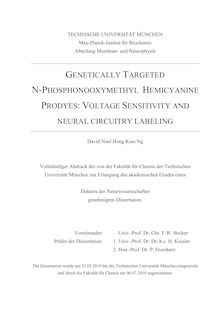 Genetically targeted N-phosphonooxymethyl hemicyanine prodyes [Elektronische Ressource] : voltage sensitivity and neural circuitry labeling / David Noel Hong Kian Ng