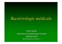 support-cours-1-bacterio