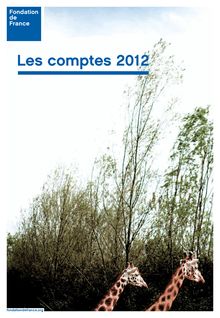 Les comptes 2012 de la Fondation de France