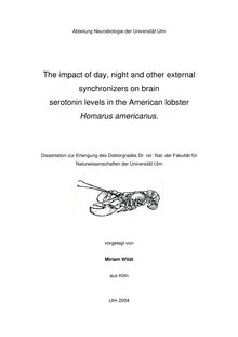 The impact of day, night and other external synchronizers on brain serotonin levels in the American lobster Homarus americanus [Elektronische Ressource] / Miriam Wildt