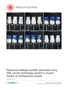 Polyclonal antibody cocktails generated using DNA vaccine technology protect in murine models of orthopoxvirus disease