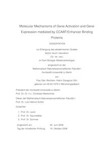 Molecular mechanisms of gene activation and gene expression mediated by CCAAT, enhancer binding proteins [Elektronische Ressource] / von Katrin Zaragoza Dörr